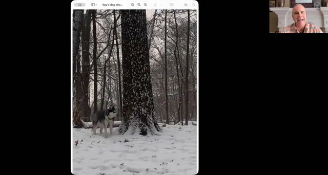 Between A Tree & GPT