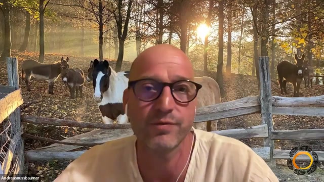 Impact Of Plants And Animals